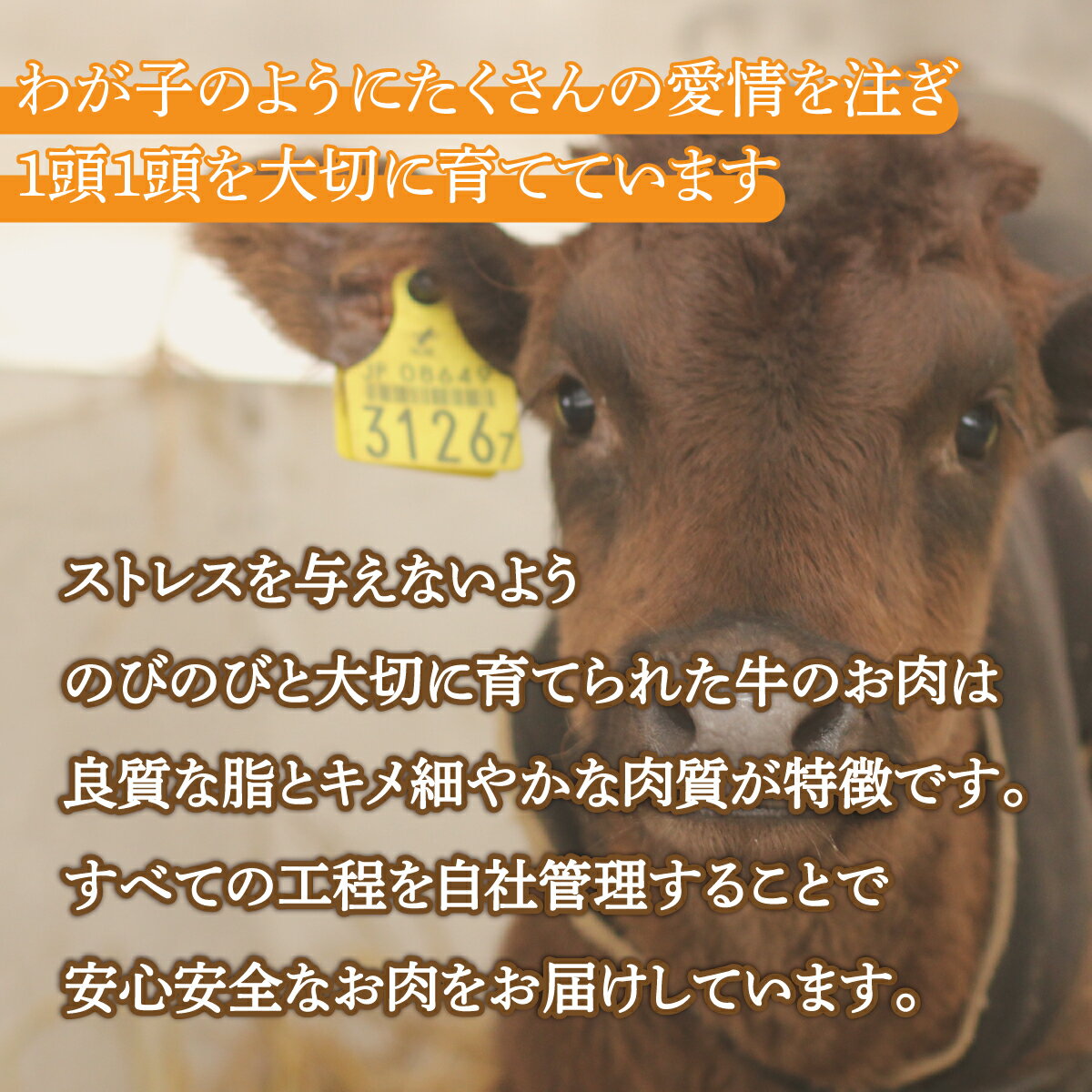 北海道豊浦町の画像3