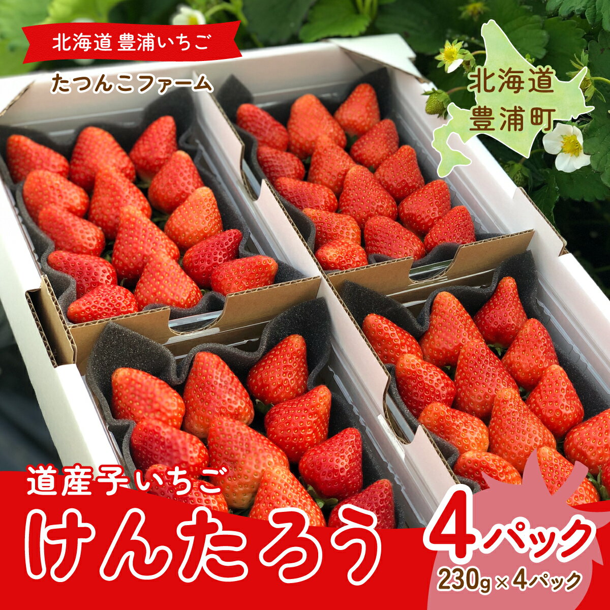 北海道いちご けんたろう 230g×4パック [ふるさと納税 人気 おすすめ ランキング 果物 いちご苺 イチゴ 国産いちご 国産苺 けんたろう セット 道内限定 おいしい 美味しい 北海道 豊浦町 送料無料]