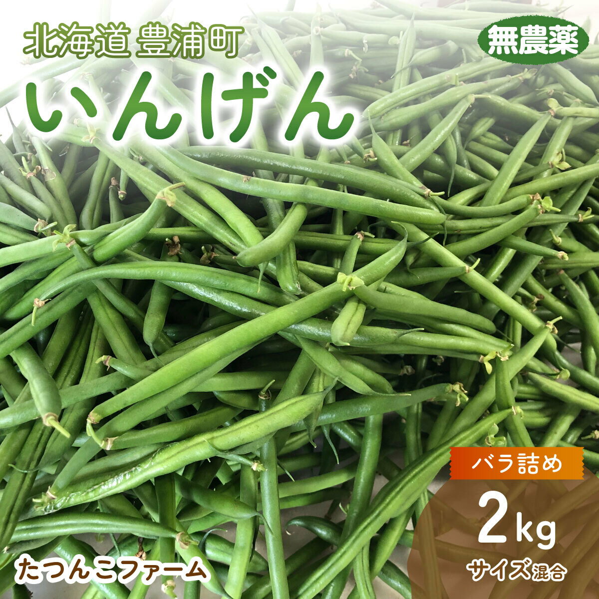 【ふるさと納税】 【2025.7月以降順次出荷】いんげん (200g × 6袋) 1.2kg サイズ混合 北海道 豊浦町 【 ふるさと納税 人気 おすすめ ランキング 野菜 根菜 いんげんインゲン国産 バラ 詰合せ 混合 おいしい 美味しい 甘い 北海道 豊浦町 送料無料 】 TYUF002