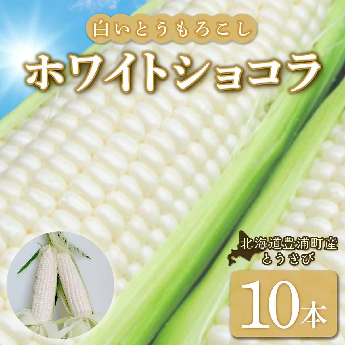 ホワイトショコラ 白いとうもろこし 10本 北海道 豊浦町産 とうきび [ ふるさと納税 人気 おすすめ ランキング 野菜 その他野菜 とうもろこし トウモロコシ 国産 ホワイト ショコラ 白い とうきび おいしい 美味しい 北海道 豊浦町 送料無料 ]