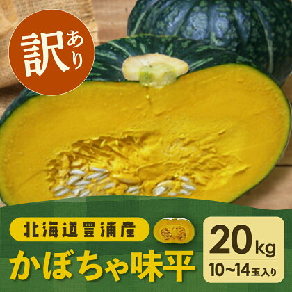 【訳あり】北海道 豊浦産 かぼちゃ 味平 20kg 10～14玉入り 【 ふるさと納税 人気 おすすめ ランキング 野菜 その他野菜 かぼちゃ 南瓜 カボチャ 国産 味平 おいしい 美味しい 北海道 豊浦町 送料無料 】 TYUH007