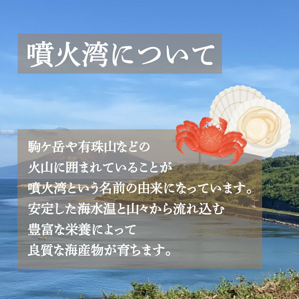 【ふるさと納税】【地元現役漁師が厳選】活毛ガニ 3尾 (1尾 300～400g) 毛ガニ 冷蔵 【 ふるさと納税 人気 おすすめ ランキング 魚介類 カニ かに 蟹 毛がに 毛蟹 厳選 噴火湾 大容量 おいしい 美味しい 新鮮 北海道 豊浦町 送料無料 】 TYUR035