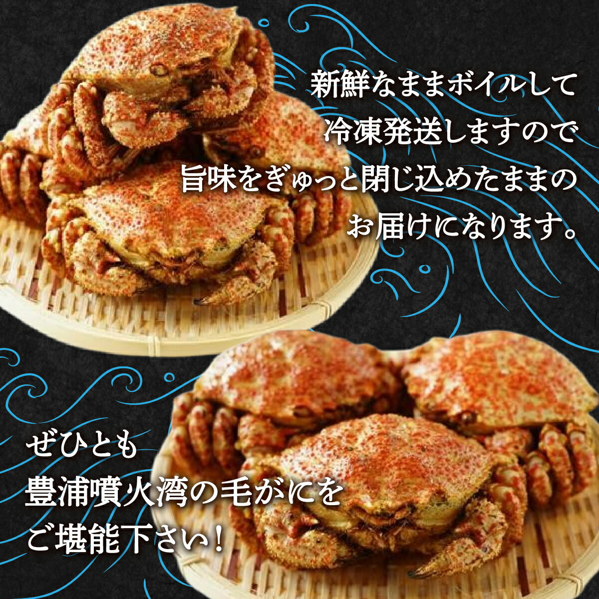 【ふるさと納税】【令和7年度発送先行予約】【地元現役漁師が厳選！！】ボイル・毛ガニ3尾（1尾300～400g）北海道 豊浦 噴火湾 【 ふるさと納税 人気 おすすめ ランキング 魚介類 カニ 蟹 かに 毛がに 毛蟹 大容量 お得 おいしい 北海道 豊浦町 送料無料 】 TYUR008