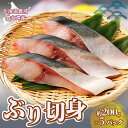 【ふるさと納税】ぶり切身 約200g x 5パック 北海道 噴火湾産 【 ふるさと納税 人気 おすすめ ランキング 魚介類 魚 ブリ 鰤 刺身 パック 大容量 ...