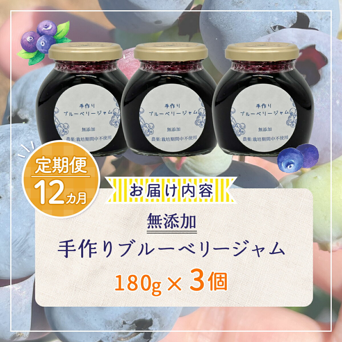 【ふるさと納税】【定期便12カ月】北海道 豊浦町産 無添加手作り ブルーベリージャム180g×3個 【 ふるさと納税 人気 おすすめ ランキング 果物 ブルーベリー 国産ブルーベリー ブルーベリージャム 手作り 無添加 大容量 おいしい 定期便 北海道 豊浦町 送料無料 】 TYUS001