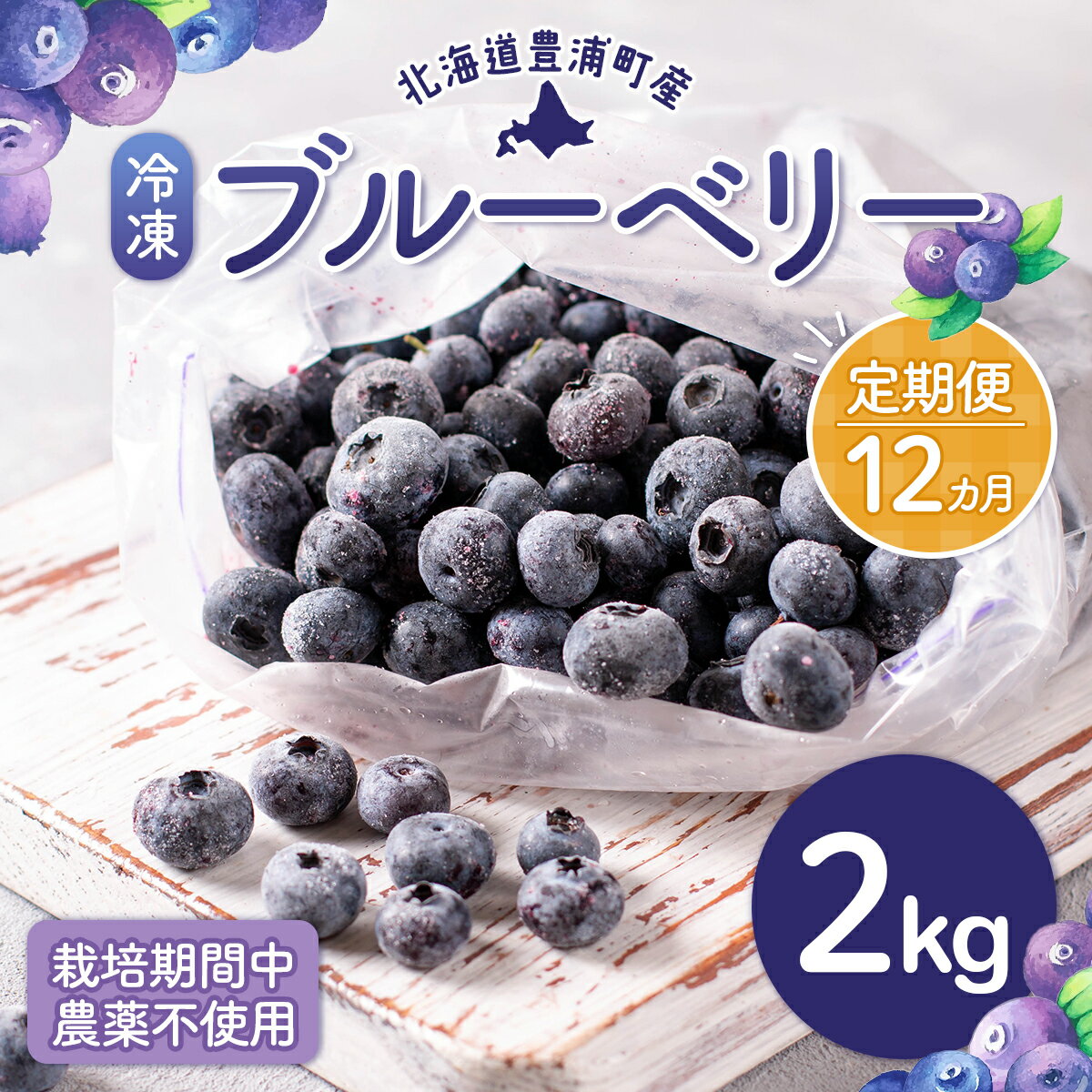 【ふるさと納税】【定期便12カ月】北海道 豊浦町産 冷凍 ブルーベリー 2kg 栽培期間中農薬不使用 【 ふるさと納税 人気 おすすめ ランキング 果物 ブルーベリー 冷凍ブルーベリー 国産 濃厚 無農薬 おいしい 美味しい 新鮮 定期便 北海道 豊浦町 送料無料 】 TYUS004