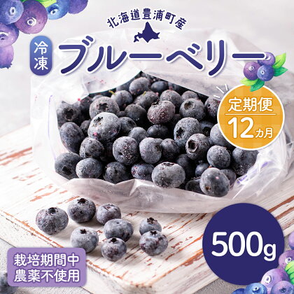 【定期便12カ月】北海道 豊浦町産 冷凍 ブルーベリー 500g 栽培期間中農薬不使用 【 ふるさと納税 人気 おすすめ ランキング 果物 ブルーベリー 冷凍ブルーベリー 国産 濃厚 無農薬 おいしい 美味しい 新鮮 定期便 北海道 豊浦町 送料無料 】 TYUS005