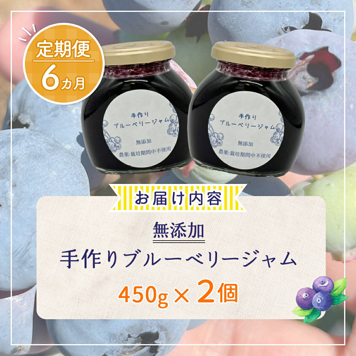 【ふるさと納税】【定期便6カ月】北海道 豊浦町産 無添加手作り ブルーベリージャム450g×2個 【 ふるさと納税 人気 おすすめ ランキング 果物 ブルーベリー 国産 ブルーベリージャム 手作り 無添加 大容量 おいしい 美味しい 定期便 北海道 豊浦町 送料無料 】 TYUS012