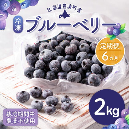 【定期便6カ月】北海道 豊浦町産 冷凍 ブルーベリー 2kg 栽培期間中農薬不使用 【 ふるさと納税 人気 おすすめ ランキング 果物 ブルーベリー 冷凍ブルーベリー 国産 濃厚 大容量 無農薬 おいしい 美味しい 新鮮 定期便 北海道 豊浦町 送料無料 】 TYUS014