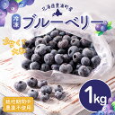 名称 北海道 豊浦町産 冷凍 ブルーベリー 1kg 栽培期間中農薬不使用 内容/内容量 ブルーベリー 1kg 返礼品の特徴 栽培期間中に農薬不使用で栽培した、大粒のブルーベリーをお届けします。 ベリーファームとようらが育てた自慢のブルーベリーは、平均糖度が13～15度、 その多くが100円玉以上のサイズを誇っております。 市販のブルーベリー（糖度8度から12度）に比べ、糖度、大きさともに大きく上回っております。 丹精込めて育てた自慢のブルーベリー、ぜひともご賞味ください！ ■生産者の声 栽培中農薬不使用のブルーベリーです。 ブルーベリー本来の力を引き出す養液栽培という方法で育てておりますので、酸味が少なく甘みの強いブルーベリーです。 原材料・成分 ブルーベリー(豊浦町産) 賞味/消費期限 冷凍180日 保存方法 マイナス18度以下で保存してください 発送時期 入金確認後、約2週間～1ヶ月ほどでお届け 配送方法 冷凍便 注意事項 ※画像はイメージです。 提供事業者 合同会社ベリーファームとようら ・ふるさと納税よくある質問はこちら ・寄付申込みのキャンセル、返礼品の変更・返品はできません。寄付者の都合で返礼品が届けられなかった場合、返礼品等の再送はいたしません。あらかじめご了承ください。 ・ご要望を備考に記載頂いてもこちらでは対応いたしかねますので、何卒ご了承くださいませ。【ふるさと納税】北海道 豊浦町産 冷凍 ブルーベリー 1kg 栽培期間中農薬不使用 【 ふるさと納税 人気 おすすめ ランキング 果物 ブルーベリー 冷凍ブルーベリー 国産 濃厚 大容量 無農薬 おいしい 美味しい あまい 新鮮 北海道 豊浦町 送料無料 】 TYUS019 栽培期間中に農薬不使用で栽培した、大粒のブルーベリーをお届けします。 ベリーファームとようらが育てた自慢のブルーベリーは、平均糖度が13～15度、 その多くが100円玉以上のサイズを誇っております。 市販のブルーベリー（糖度8度から12度）に比べ、糖度、大きさともに大きく上回っております。 丹精込めて育てた自慢のブルーベリー、ぜひともご賞味ください！ ■生産者の声 栽培中農薬不使用のブルーベリーです。 ブルーベリー本来の力を引き出す養液栽培という方法で育てておりますので、酸味が少なく甘みの強いブルーベリーです。 寄附金の用途について 使い道はお任せします 豊浦町まちづくり整備基金 豊浦町教育、文化及びスポーツ振興基金 日本一の秘境駅「小幌駅」の存続応援基金 受領証明書及びワンストップ特例申請書のお届けについて ワンストップ特例について ワンストップ特例をご利用される場合、1月10日までに申請書が当庁まで届くように発送ください。 マイナンバーに関する添付書類に漏れのないようご注意ください。 ダウンロードされる場合は以下よりお願いいたします。 URL：https://event.rakuten.co.jp/furusato/guide/onestop/