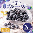 【ふるさと納税】北海道 豊浦町産 冷凍 ブルーベリー 2kg 栽培期間中農薬不使用 【 ふるさと納税 人気 おすすめ ランキング 果物 ブルーベリー 冷凍ブルーベリー 国産ブルーベリー 濃厚ブルーベリー 大容量 無農薬 おいしい 美味しい 新鮮 北海道 豊浦町 送料無料 】 TYUS020