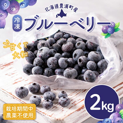 北海道 豊浦町産 冷凍 ブルーベリー 2kg 栽培期間中農薬不使用 【 ふるさと納税 人気 おすすめ ランキング 果物 ブルーベリー 冷凍ブルーベリー 国産ブルーベリー 濃厚ブルーベリー 大容量 無農薬 おいしい 美味しい 新鮮 北海道 豊浦町 送料無料 】 TYUS020