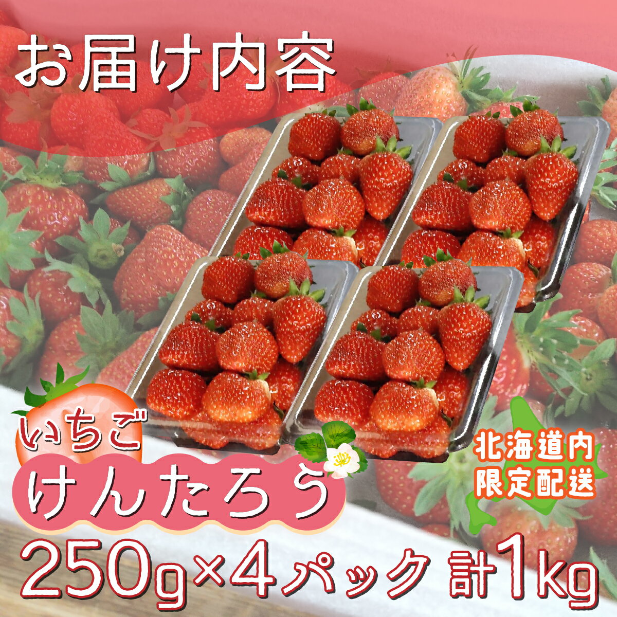 【ふるさと納税】【北海道内限定配送】いちご「けんたろう」250g×4パック ふるさと納税 人気 おすすめ ランキング 果物 いちごイチゴ 苺 国産いちご 国産苺 けんたろう セット おいしい 美味しい 甘い 北海道 豊浦町 送料無料 TYUT002