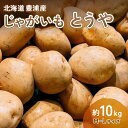 【ふるさと納税】北海道 豊浦産 じゃがいも とうや 10kg M-Lサイズ 農園直送 産直 ポテト 芋 イモ 【 ふるさと納税 人気 おすすめ ラン..