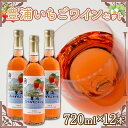 【ふるさと納税】北海道 豊浦 いちご ワインセット【12本】 【 ふるさと納税 人気 おすすめ ランキング ワイン わいん 果物 いちごイチゴ 苺 いちごワイン 酒 お酒 ギフト 贈答 プレゼント セット 詰合せ おいしい 美味しい 北海道 豊浦町 送料無料 】 TYUV003
