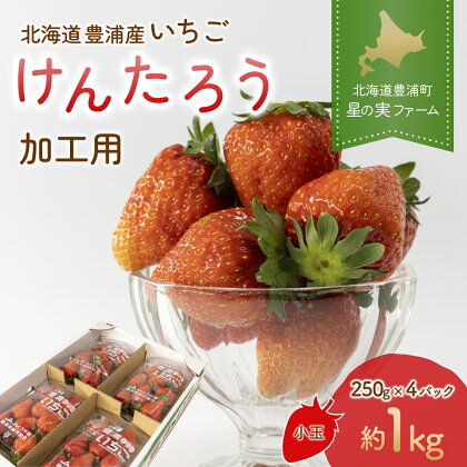 北海道 豊浦 いちご 加工用 小粒 けんたろう 250g×4パック1箱 約1kg ふるさと納税 人気 おすすめ ランキング 果物 いちごイチゴ 苺 けんたろう パック おいしい 美味しい 北海道 豊浦町 送料無料 TYUW003