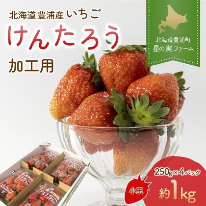 北海道 豊浦 いちご 加工用 小粒 けんたろう 250g×8パック 約2kg ふるさと納税 人気 おすすめ ランキング 果物 いちごイチゴ 苺 けんたろう パック おいしい 美味しい 北海道 豊浦町 送料無料 TYUW004