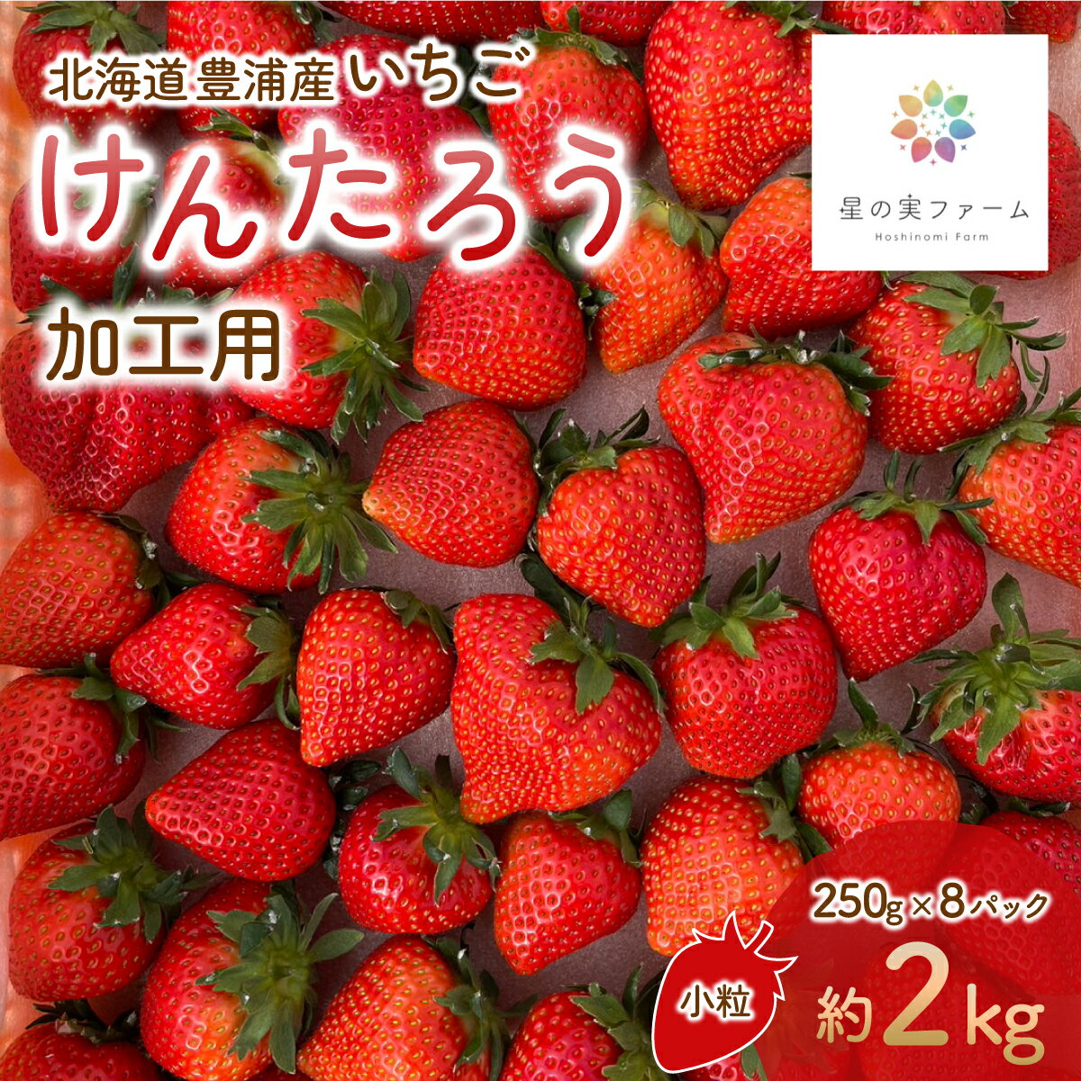 北海道 豊浦 いちご 加工用 小粒 けんたろう 250g×8パック 約2kg ふるさと納税 人気 おすすめ ランキング 果物 いちごイチゴ 苺 けんたろう パック おいしい 美味しい 北海道 豊浦町 送料無料 TYUW004