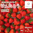 名称 【ふるさと納税】北海道 豊浦 いちご 加工用 小粒 けんたろう 250g×8パック 約2kg TYUW004 返礼品の内容 加工用　けんたろう小粒　 形不揃いなもの 250g×8パック 約2kg 返礼品の特徴 いちごジャムなど加工にはこちらがオススメ！ いちご本来の美味しさを味わってもらうため、完熟・朝採り・品質にこだわっています。その日のうちに新鮮なまま発送します。 化学肥料不使用、微生物資材など有機質の肥料を使用し美味しさと安全にこだわりました。 化学農薬不使用ですので安心してお召し上がりいただけます。 けんたろうが採れるのは4月中旬～6月末までの短い期間です。 生産者も流通量も少なくなっており、希少ないちごになりました。 芳醇な香り、甘さ・酸味のバランスが良いのが特徴です。 賞味/消費期限 発送から3日程度 申し込み期限 2024年5月25日まで 発送時期 2024年5月中旬～出荷発送 配送方法 冷蔵便 原産地 北海道豊浦町産 注意事項 ※画像はイメージです。 ※沖縄・離島のお届けは出来ません。あらかじめご了承ください。 ※上記のエリアからの申し込みは返礼品の手配が出来ないため、「キャンセル」または「寄附のみ」とさせていただきます。予めご了承ください。 ※気候や収穫状況により発送時期が遅れる場合があります。 ※お届け日の指定はお受けできません。 ※梱包には十分注意してお届けしますが、果実がやわらかいため輸送中の衝撃により多少の傷が付く場合がありますのでご了承ください。 ※賞味期間：発送から冷蔵3日程度 提供事業者 星の実ファーム ・ふるさと納税よくある質問はこちら ・寄附申込みのキャンセル、返礼品の変更・返品はできません。あらかじめご了承ください。【ふるさと納税】北海道 豊浦 いちご 加工用 小粒 けんたろう 250g×8パック 約2kg ふるさと納税 人気 おすすめ ランキング 果物 いちごイチゴ 苺 けんたろう パック おいしい 美味しい 北海道 豊浦町 送料無料 TYUW004 いちごジャムなど加工にはこちらがオススメ！ いちご本来の美味しさを味わってもらうため、完熟・朝採り・品質にこだわっています。その日のうちに新鮮なまま発送します。 化学肥料不使用、微生物資材など有機質の肥料を使用し美味しさと安全にこだわりました。 化学農薬不使用ですので安心してお召し上がりいただけます。 けんたろうが採れるのは4月中旬～6月末までの短い期間です。 生産者も流通量も少なくなっており、希少ないちごになりました。 芳醇な香り、甘さ・酸味のバランスが良いのが特徴です。 寄附金の用途について 使い道はお任せします 豊浦町まちづくり整備基金 豊浦町教育、文化及びスポーツ振興基金 日本一の秘境駅「小幌駅」の存続応援基金 受領証明書及びワンストップ特例申請書のお届けについて ワンストップ特例について ワンストップ特例をご利用される場合、1月10日までに申請書が当庁まで届くように発送ください。 マイナンバーに関する添付書類に漏れのないようご注意ください。 ダウンロードされる場合は以下よりお願いいたします。 URL：https://event.rakuten.co.jp/furusato/guide/onestop/