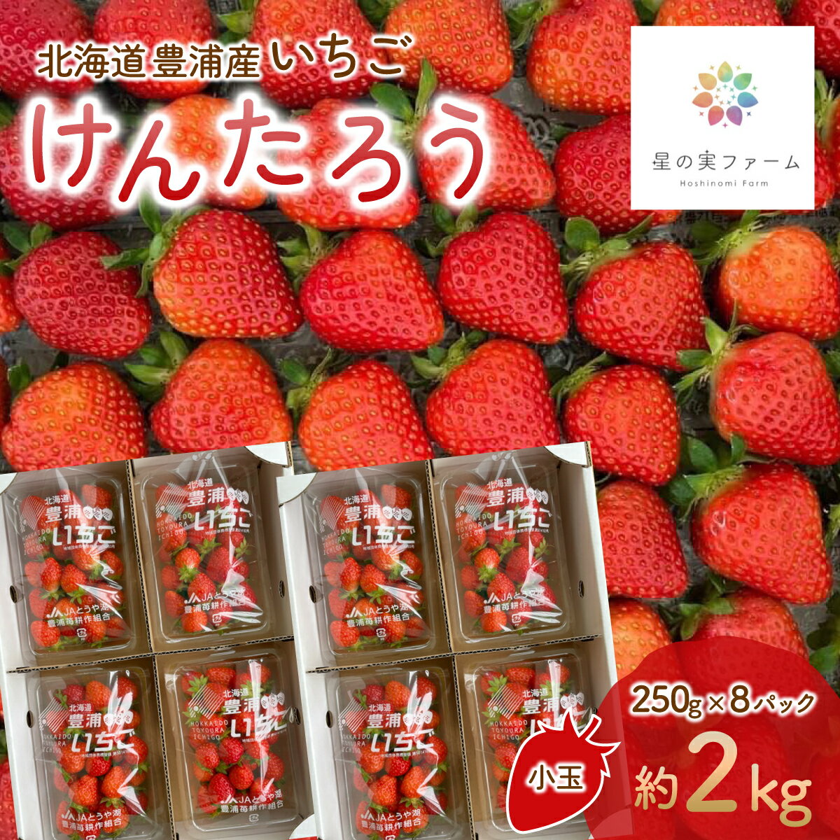 北海道 豊浦 いちご 小玉 けんたろう 250g×8パック 約2kg ふるさと納税 人気 おすすめ ランキング 果物 いちごイチゴ 苺 けんたろう パック おいしい 美味しい 北海道 豊浦町 送料無料 TYUW002