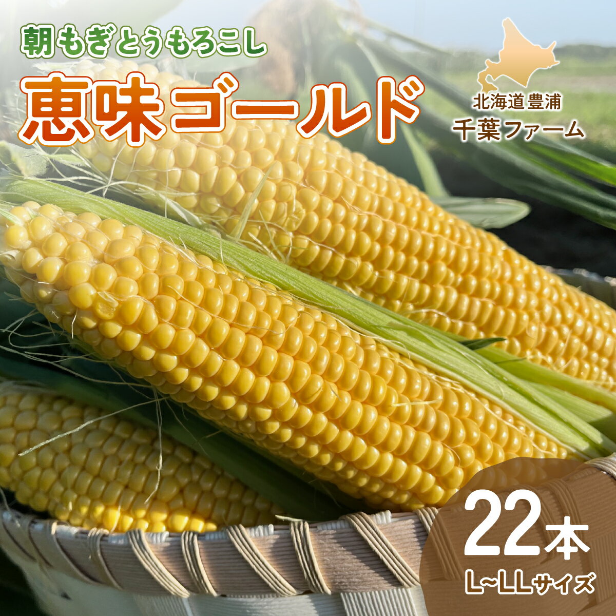 【ふるさと納税】北海道 豊浦 千葉ファーム 朝もぎ とうもろこし 恵味ゴールド 22本 L～LLサイズ 【 ふるさと納税 人気 おすすめ ランキング 野菜 とうもろこし トウモロコシ 国産 朝もぎ 大容量 サイズ おいしい 美味しい あまい 新鮮 北海道 豊浦町 送料無料 】 TYUY002