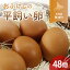 【ふるさと納税】北海道 豊浦 おふけしの平飼い卵 48個 【 ふるさと納税 人気 おすすめ ランキング 卵 たまご タマゴ 鶏 ニワトリ 平飼い おいしい 美味しい 新鮮 朝ごはん 朝食 北海道 豊浦町 送料無料 】 TYUZ003