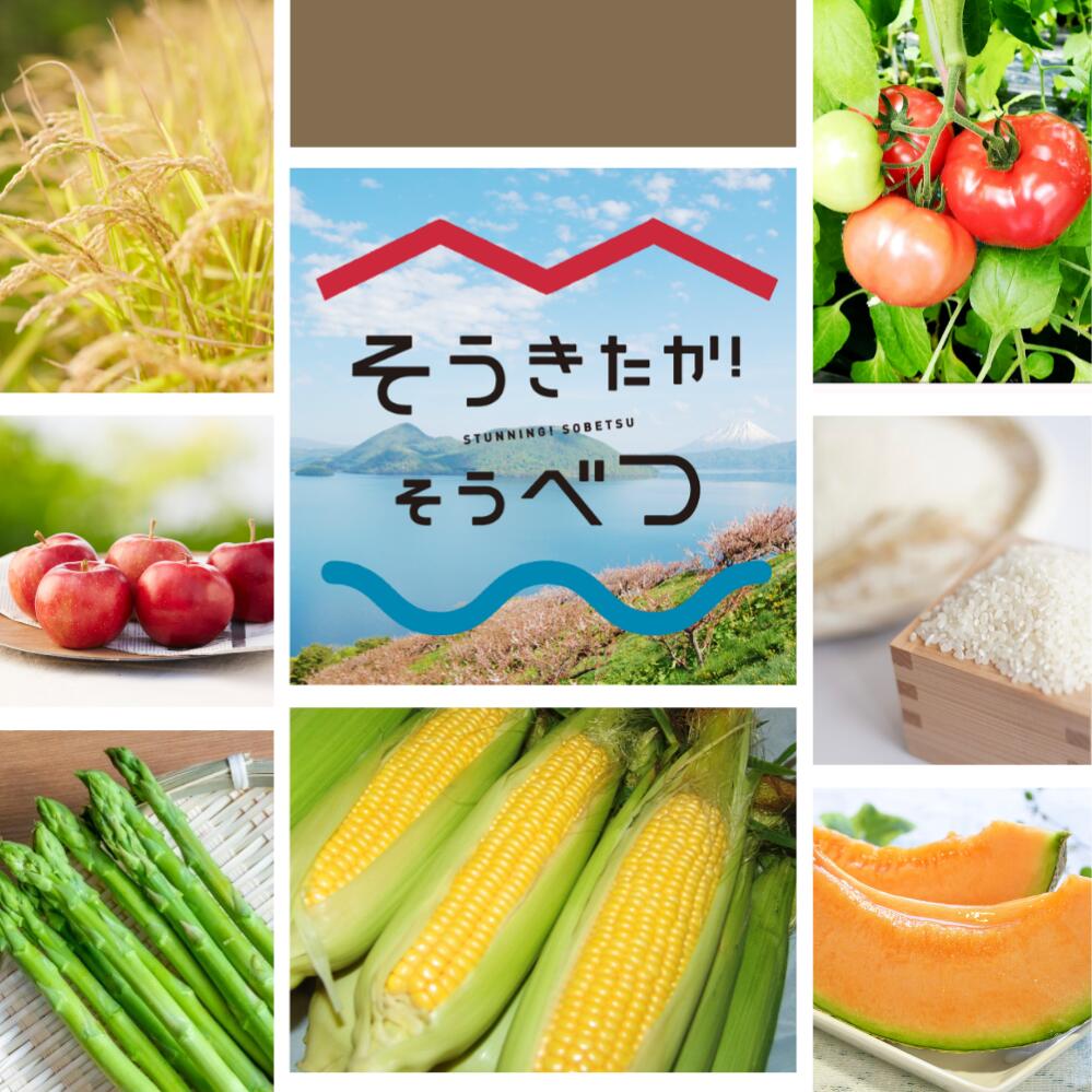 【ふるさと納税】＜2026年8月上旬より順次お届け＞北海道壮瞥産 とうもろこし（恵味ゴールド）約10kg 【 ふるさと納税 人気 おすすめ ランキング 北海道 壮瞥 先行予約 とうもろこし 贈り物 贈物 贈答 ギフト 大容量 詰合せ セット 北海道 壮瞥町 送料無料 】SBTA032