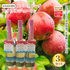 【ふるさと納税】スパークリングアップルジュース3本セット ※そうべつ産りんご100%使用 【 ふるさと納税 人気 おすすめ ランキング 北海道 壮瞥 りんご アップル ジュース スパークリング 果汁 100% ギフト 大容量 詰合せ セット 北海道 壮瞥町 送料無料 】 SBTA014