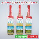 【ふるさと納税】スパークリングアップルジュース12本セット 【 ふるさと納税 人気 おすすめ ランキング 北海道 壮瞥 りんご アップル ジュース スパークリング 果汁 100% 炭酸 飲料水 飲み物 贈り物 贈物 贈答 ギフト 大容量 詰合せ 北海道 壮瞥町 送料無料 】 SBTA020