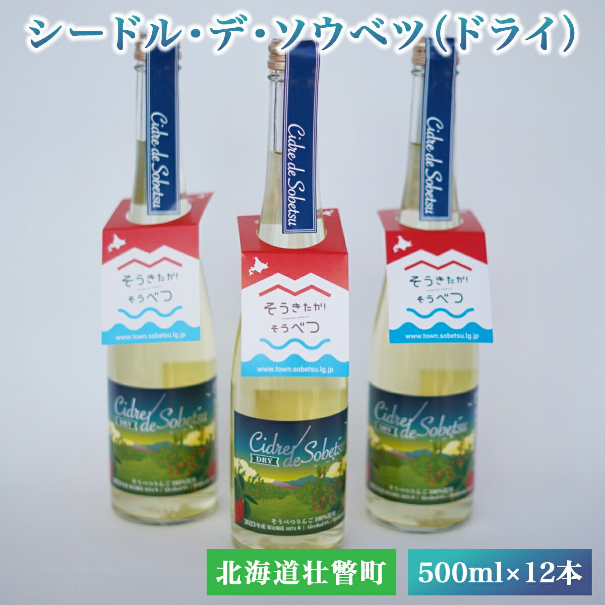 23位! 口コミ数「0件」評価「0」シードル・デ・ソウベツ（ドライ）500ml×12本 【 ふるさと納税 人気 おすすめ ランキング 北海道 壮瞥 りんご 林檎 リンゴ アップ･･･ 