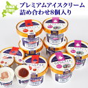 【ふるさと納税】プレミアムアイスクリーム詰め合わせ8個入り 【 ふるさと納税 人気 おすすめ ランキング 北海道 壮瞥 アイス キャンデー アイスクリーム リン...