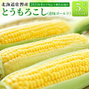 【ふるさと納税】<2025年8月下旬より順次お届け>北海道壮瞥産 とうもろこし(恵味ゴールド)約5kg 【 ふるさと納税 人気 おすすめ ランキング 北海道 壮...