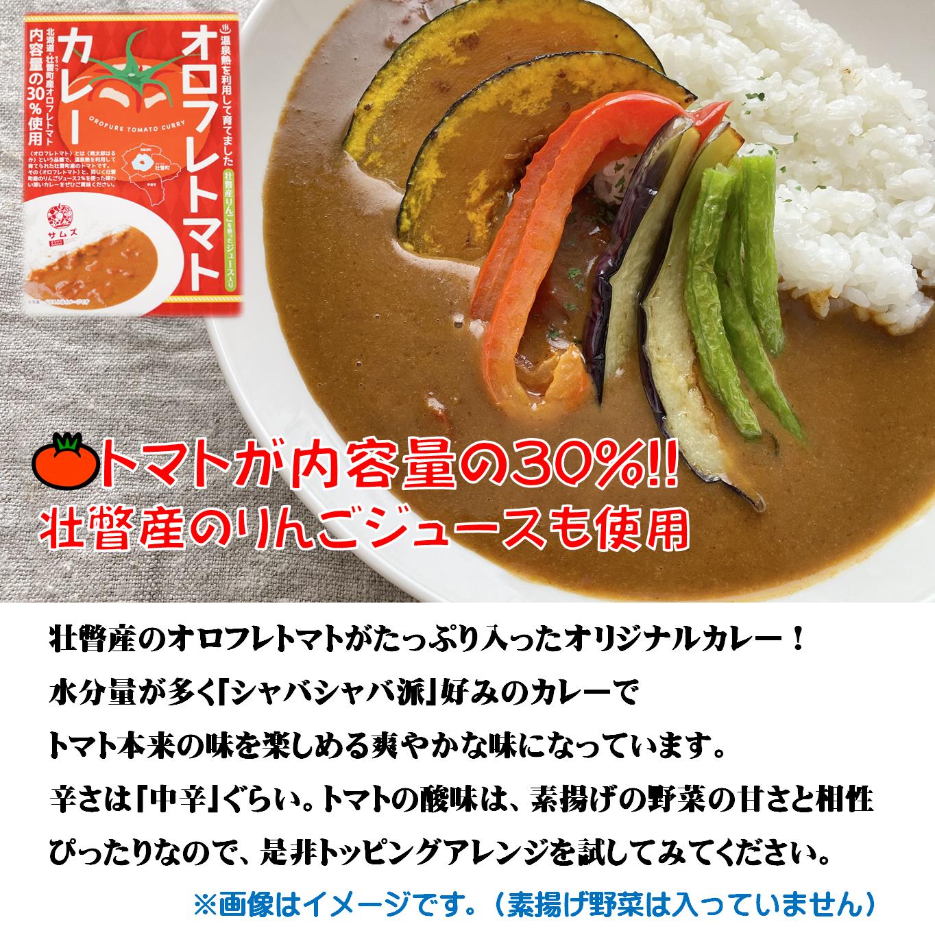 【ふるさと納税】≪ご当地レトルトカレー≫3種セット　計5箱 【 ふるさと納税 人気 おすすめ ランキング 北海道 壮瞥 大福豆カレー まめ りんごカレー オロフレ トマトカレー レトルト 保存食 贈り物 贈物 贈答 ギフト 大容量 詰合せ 北海道 壮瞥町 送料無料 】 SBTA044 f015750-sobetsu-10000078 北海道壮瞥町 サンプル画像3