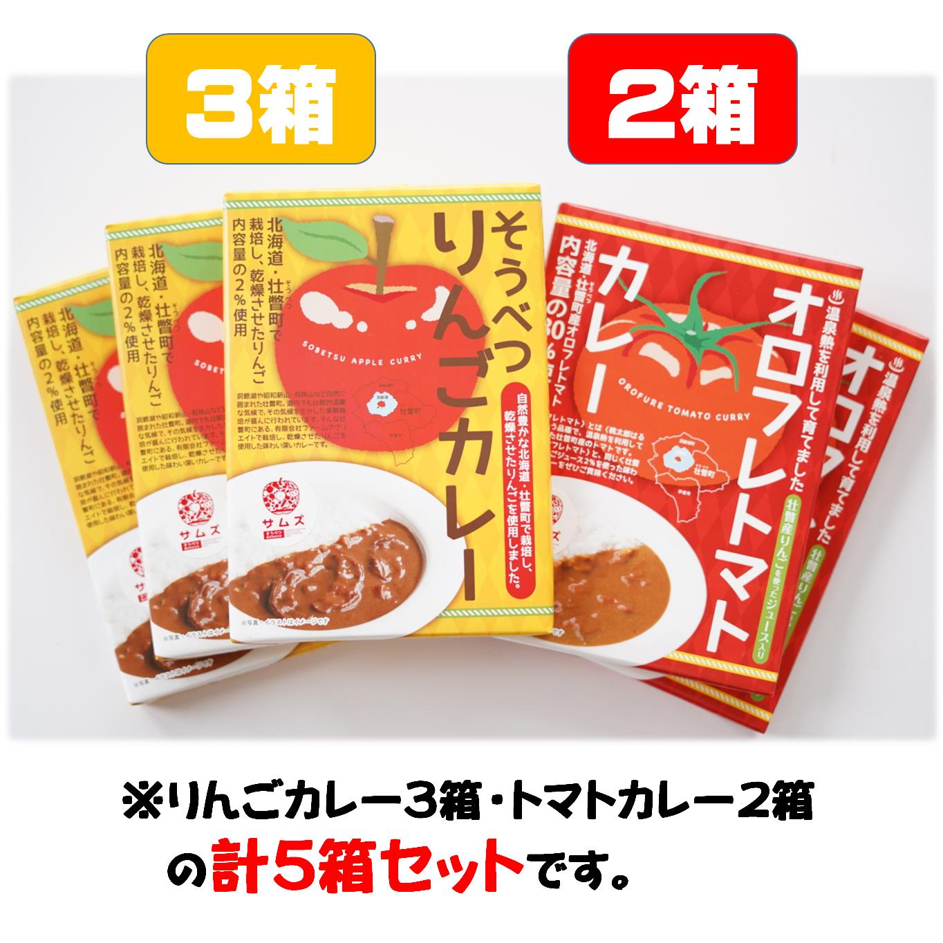 【ふるさと納税】≪ご当地レトルトカレー≫りんご・トマトカレーセット5箱（りんご3箱、トマト2箱）【 ふるさと納税 人気 おすすめ ランキング 北海道 壮瞥 りんご リンゴ 林檎 とまと トマト カレー レトルト 贈物 贈答 ギフト セット 北海道 壮瞥町 送料無料 】 SBTA050 f015750-sobetsu-10000020 北海道壮瞥町 サンプル画像2