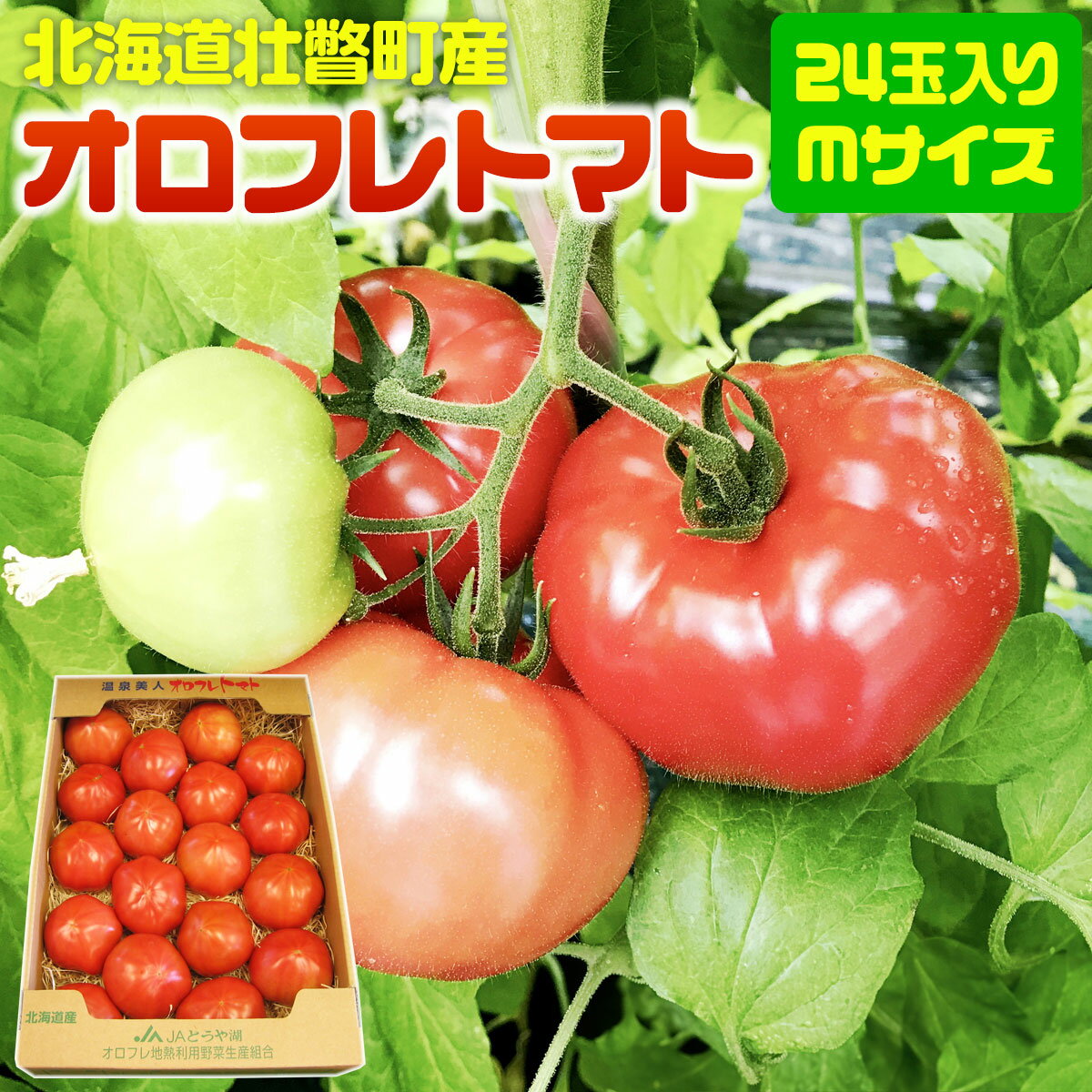 【ふるさと納税】＜2026年3月上旬より順次お届け＞北海道壮瞥産 オロフレトマト24玉入り（Mサイズ） 【..