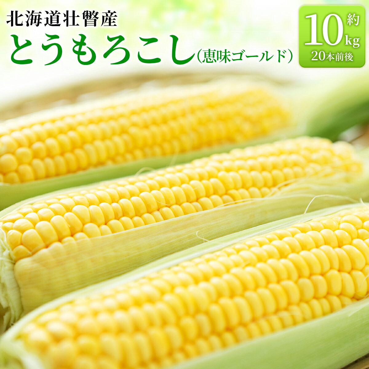 【ふるさと納税】<2026年8月上旬より順次お届け>北海道壮瞥産 とうもろこし(恵味ゴールド)約10kg 【 ふるさと納税 人気 おすすめ ランキング 北海道 ...