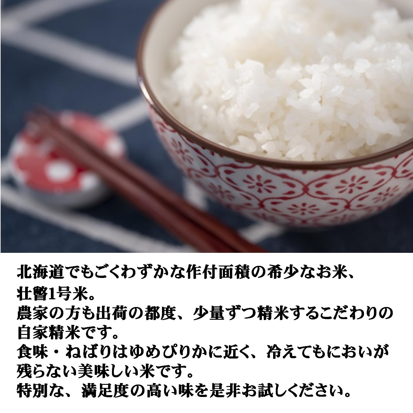 【ふるさと納税】壮瞥1号米5kg 【 ふるさと納税 人気 おすすめ ランキング 北海道 壮瞥 米 白米 精米 自家精米 希少 ご飯 おにぎり おむすび 丼 贈り物 贈物 贈答 ギフト 大容量 詰合せ セット 北海道 壮瞥町 送料無料 】 SBTA033