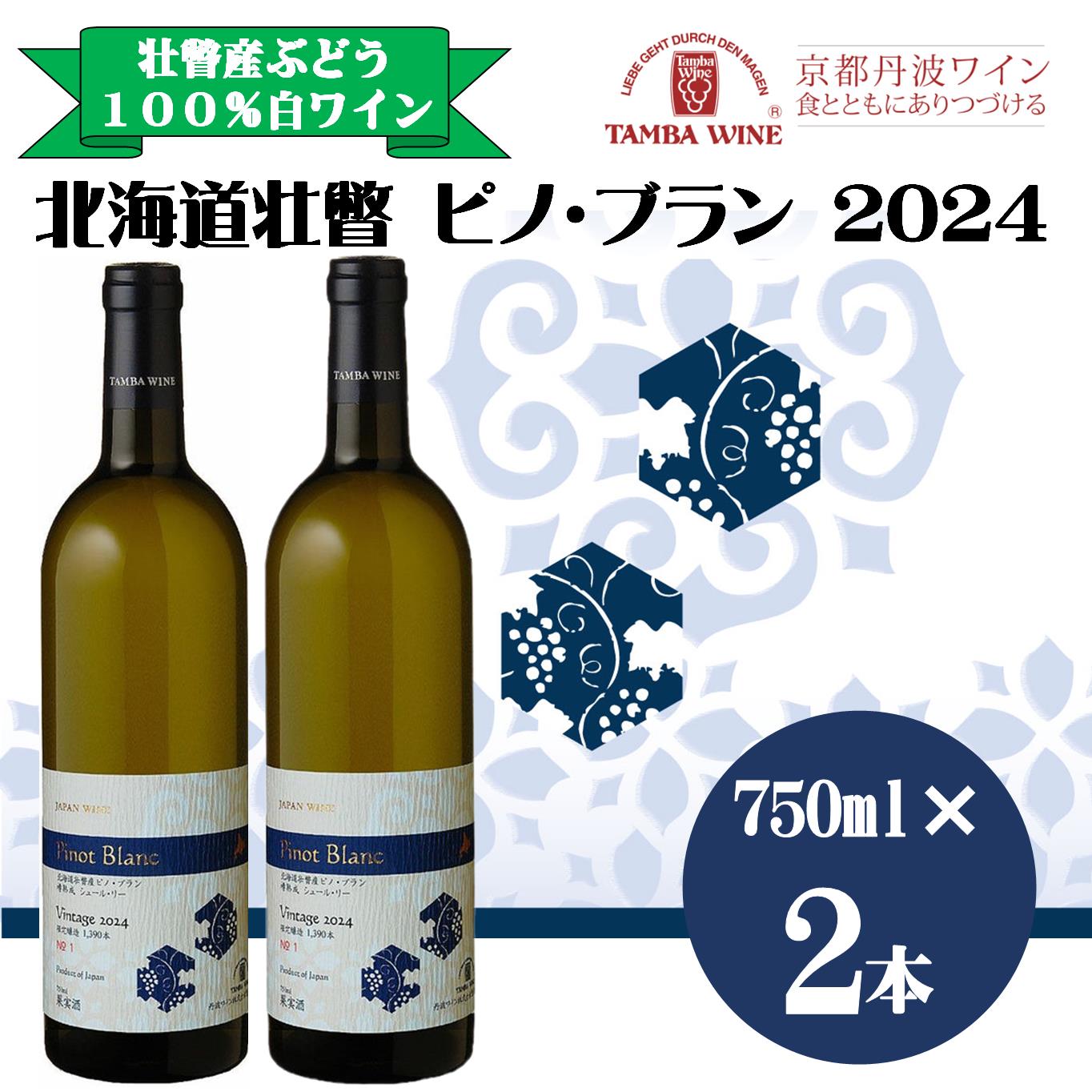 乐天商城 - 【ふるさと納税】北海道壮瞥産 ピノ・ブラン2024(辛口白ワイン) 750ml×2本 【 ふるさと納税 人気 おすすめ ランキング 北海道 壮瞥 ワイン ピノ・ブラン ぶどう 葡萄 酒 白 辛口 贈り物 贈物 贈答 ギフト 詰合せ セット 北海道 壮瞥町 送料無料 】 SBTA085