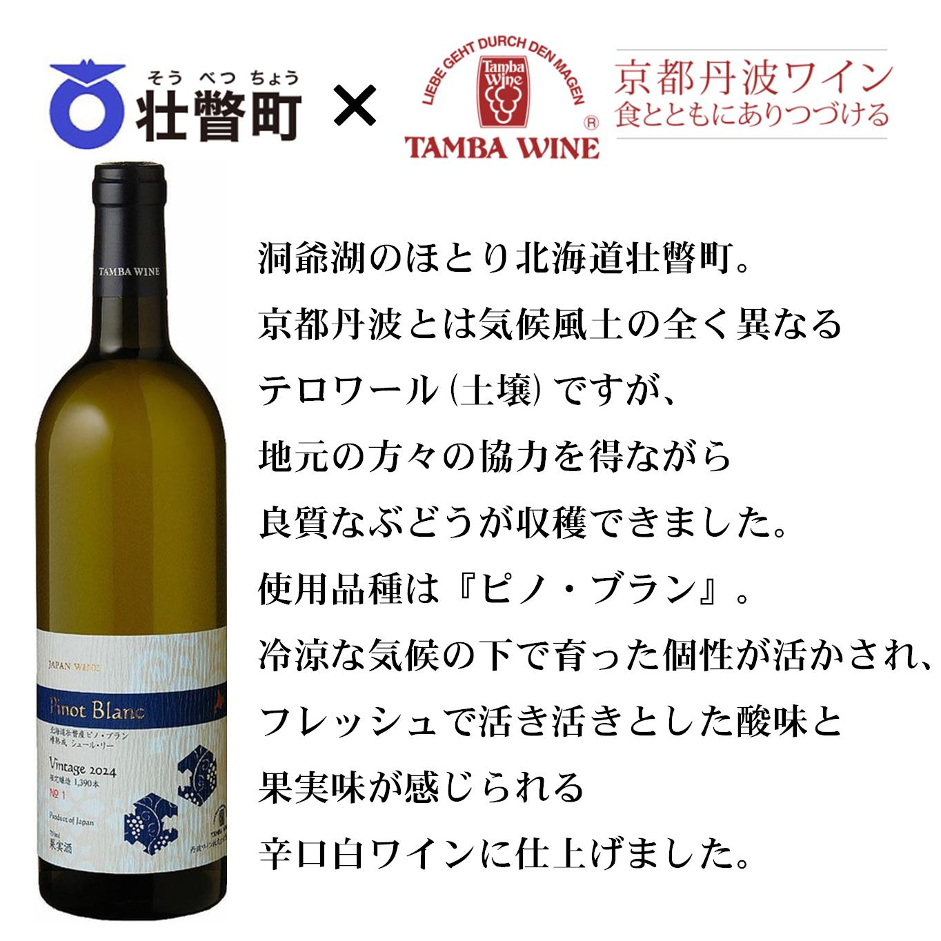 【ふるさと納税】北海道壮瞥産 ピノ・ブラン2024(辛口白ワイン) 750ml 【 ふるさと納税 人気 おすすめ ランキング 北海道 壮瞥 ワイン シャルドネ ピノ・ブラン ぶどう 葡萄 酒 白 辛口 贈り物 贈物 贈答 ギフト 大容量 詰合せ セット 北海道 壮瞥町 送料無料 】 SBTA084