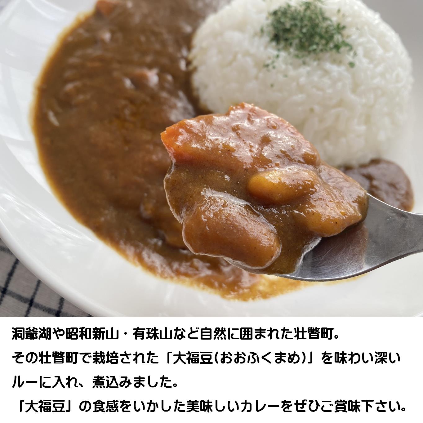 【ふるさと納税】≪ご当地レトルトカレー≫そうべつ大福豆カレー5箱 【 ふるさと納税 人気 おすすめ ランキング 北海道 壮瞥 大福豆 まめ 豆 カレー レトルト 保存食 贈り物 贈物 贈答 ギフト 大容量 詰合せ セット 北海道 壮瞥町 送料無料 】 SBTA043 f015750-sobetsu-10000714 北海道壮瞥町 サンプル画像2