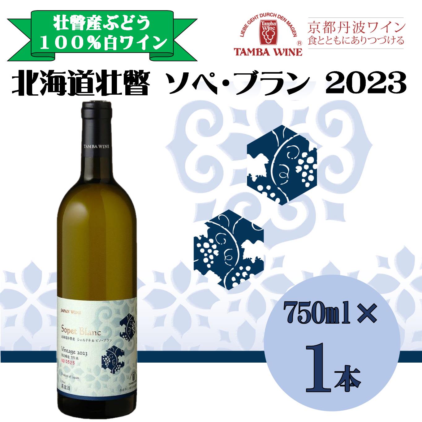 北海道壮瞥産 ソペ・ブラン2023(辛口白ワイン) 750ml [ ふるさと納税 人気 おすすめ ランキング 北海道 壮瞥 ワイン シャルドネ ピノ・ブラン ぶどう 葡萄 酒 白 辛口 贈り物 贈物 贈答 ギフト 大容量 詰合せ セット 北海道 壮瞥町 送料無料 ]