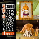 【ふるさと納税】横綱 北の湖記念館入場チケット4枚セット ふるさと納税 人気 おすすめ ランキング チケット 入場券 横綱 北の湖 きたのうみ 相撲 すもう 記...