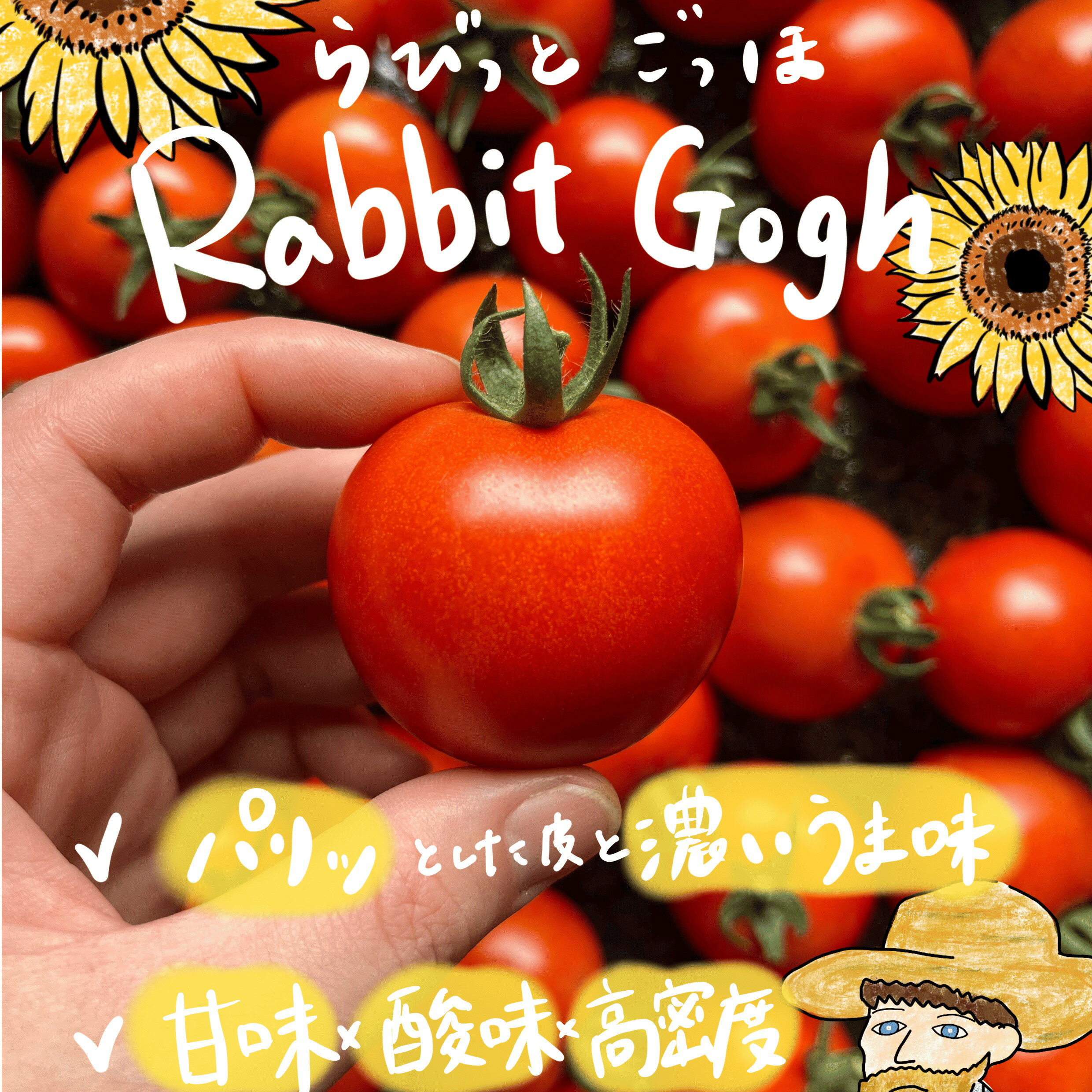 【ふるさと納税】北海道壮瞥町産 ラビットゴッホ 選べる 約1kg ～ 約4kg 中玉トマト 【 ふるさと納税 人気 トマト とまと 野菜 ラビットゴッホ 中玉トマト フルーツトマト フルーツ ミニトマト 甘い 糖度 美味しい 完熟 グルメ サラダ 北海道 壮瞥町 送料無料 】 SBTAJ001
