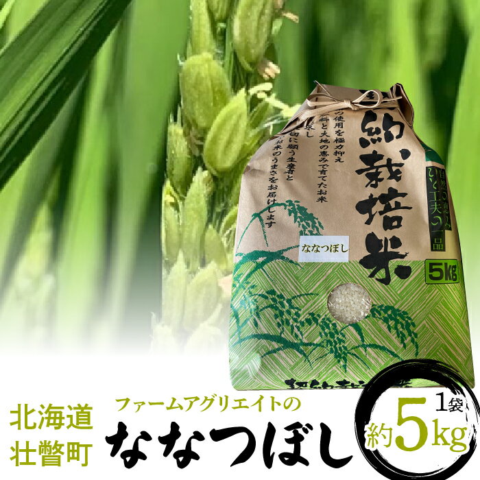 ファームアグリエイトのななつぼし　約5kg×1袋 ふるさと納税 人気 おすすめ ランキング 北海道 壮瞥 米 白米 特Aランク ななつぼし 甘い おにぎり おむすび こめ 贈り物 贈物 贈答 ギフト 大容量 詰合せ セット 北海道 壮瞥町 送料無料 SBTB001