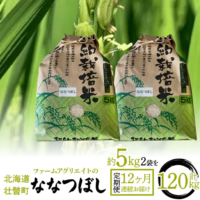 3位! 口コミ数「0件」評価「0」ファームアグリエイトのななつぼし　約5kg×2袋を12ヶ月連続お届け ふるさと納税 人気 おすすめ ランキング 北海道 壮瞥 定期便 米 白･･･ 