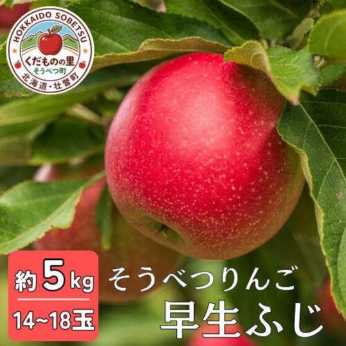早生ふじ 約5kg