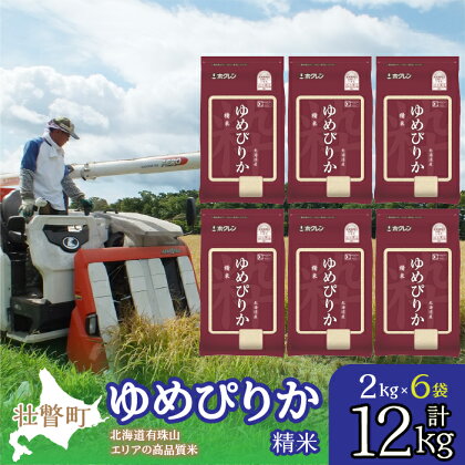 北海道産 ゆめぴりか 精米 12kg ふるさと納税 人気 おすすめ ランキング 北海道 壮瞥 精米 米 白米 ゆめぴりか 甘い おにぎり おむすび こめ 贈り物 贈物 贈答 ギフト 大容量 詰合せ セット 北海道 壮瞥町 送料無料 SBTD032