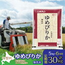 【ふるさと納税】定期便 6ヵ月連続6回 北海道産 ゆめぴりか