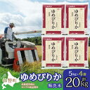 【ふるさと納税】【令和6年産】(無洗米20kg)ホクレンゆめぴりか(無洗米5kg×4袋) 【 ふるさと納税 人気 おすすめ ランキング 北海道産 壮瞥 無洗米 ...