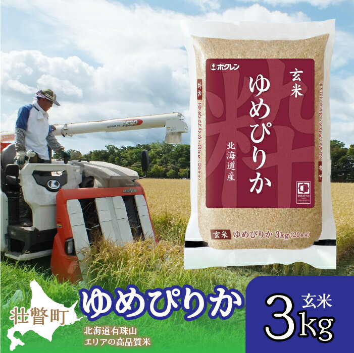 【ふるさと納税】北海道産 ゆめぴりか 玄米 3kg ふるさと納税 人気 おすすめ ランキング 北海道 壮瞥 玄米 米 ゆめぴりか 炊き込みご飯 おにぎり おむすび こめ 贈り物 贈物 贈答 ギフト セット 北海道 壮瞥町 送料無料 SBTD069